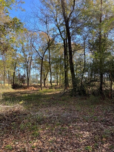 More Photos Of 4106 Hwy 69 S Hwy, Lumberton Land For Sale