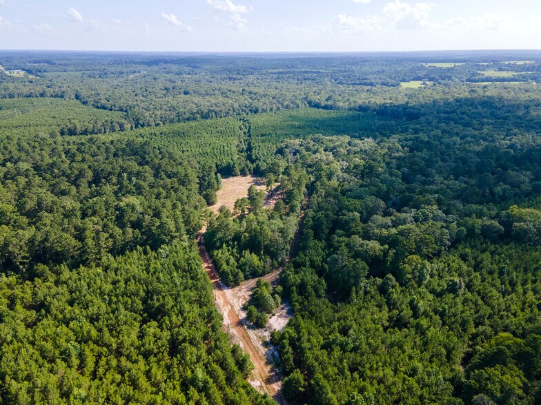 More Photos Of 2539 FM 995, Atlanta Land For Sale