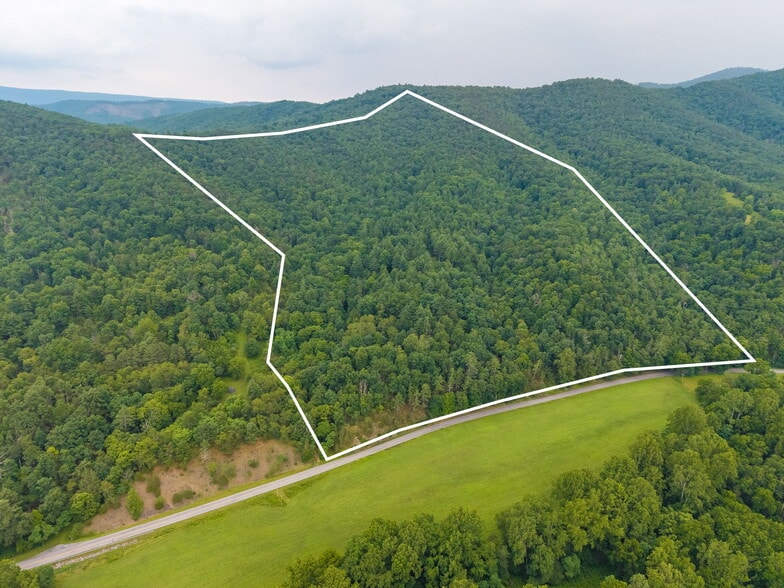 Primary Photo Of tbd Criders rd, Bergton Land For Sale