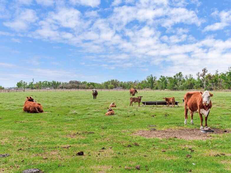 More Photos Of 15721 Colding Loop, Wimauma Land For Sale