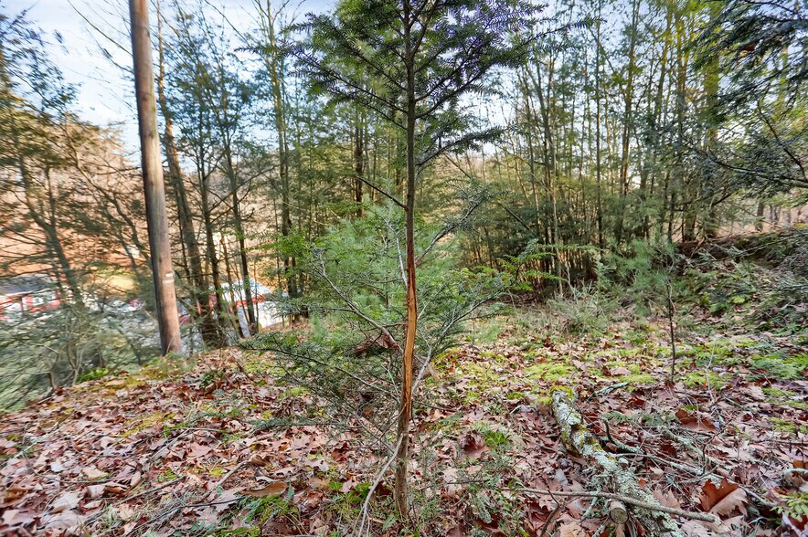 More Photos Of 703 Dauva Luch Rd, Herndon Land For Sale