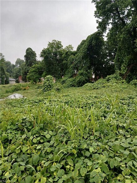 More Photos Of 1409 Winston Rd, Lexington Land For Sale