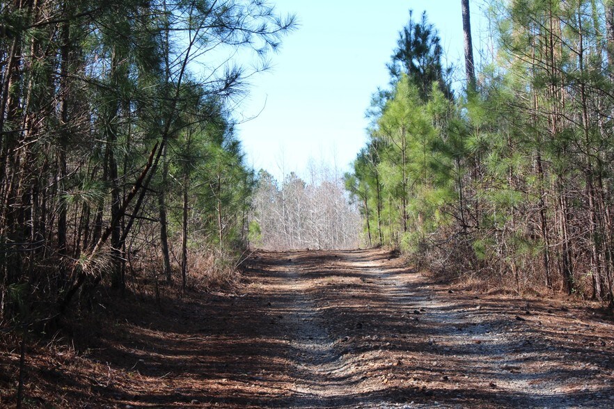 7840 Cedar Grove Rd, Fairburn, GA 30213 Land For Sale