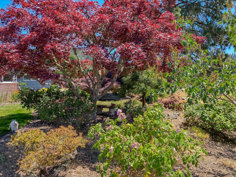 More Photos Of 8017 Old Highway 99 N, Roseburg Distribution For Sale