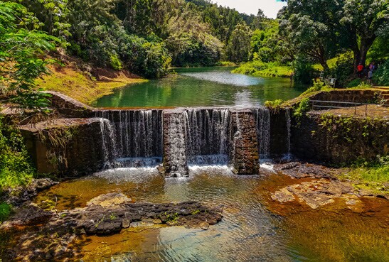 More Photos Of 5545 Kahiliholo Rd, Kilauea Land For Sale