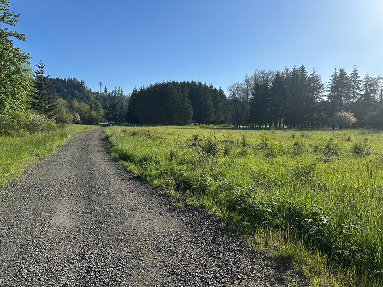 Primary Photo Of 26003 Salmon River Hwy, Willamina Land For Sale