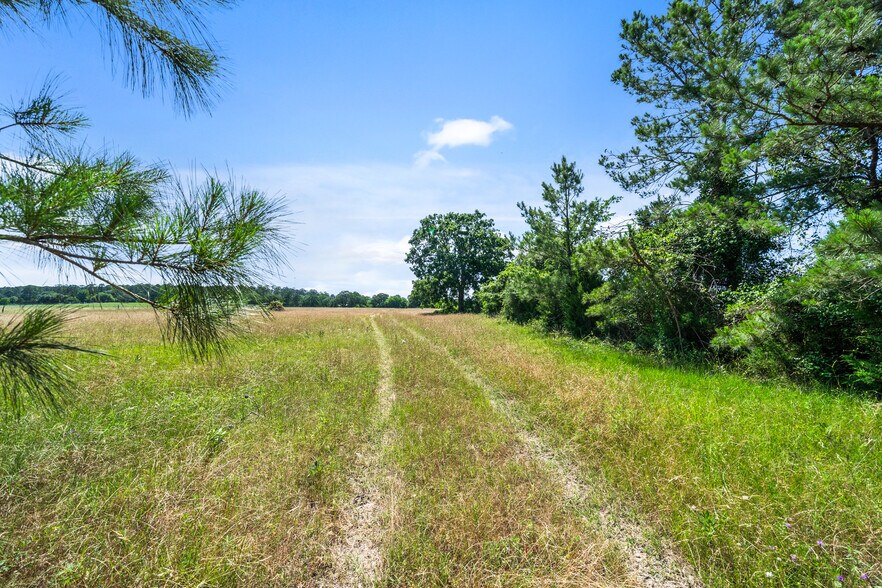 More Photos Of 20435 FM 1791, Richards Land For Sale