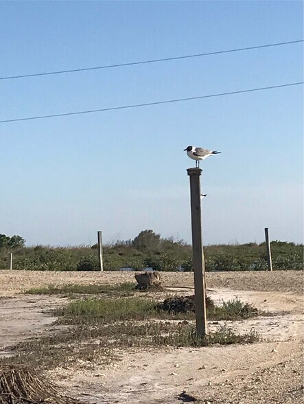 More Photos Of 2707 TX-35 Business N, Aransas Pass Land For Sale