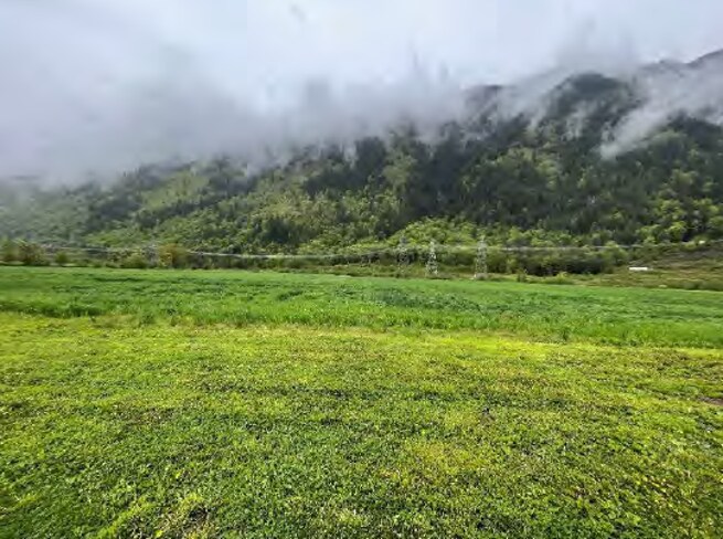 More Photos Of 5887 Kamp Rd, Agassiz Specialty For Sale