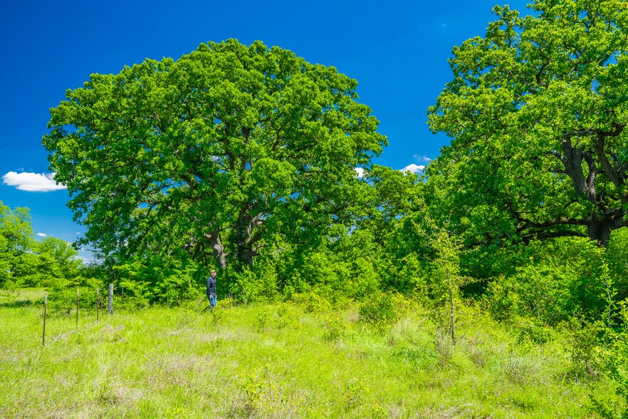 More Photos Of Highway 14, Groesbeck Land For Sale