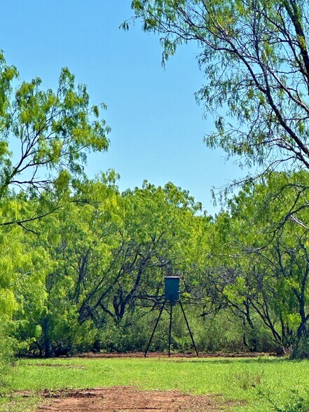 More Photos Of 3265 TX-97, Jourdanton Land For Sale