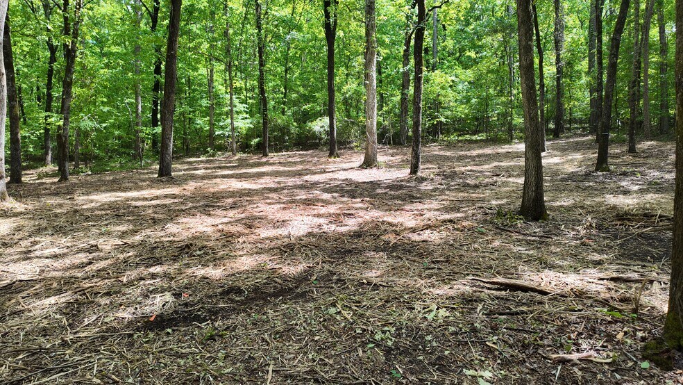 More Photos Of 0 Bullock Bridge Rd, Monroe Land For Sale