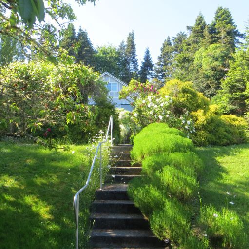 More Photos Of 6605 Sooke Rd, Sooke Land For Sale