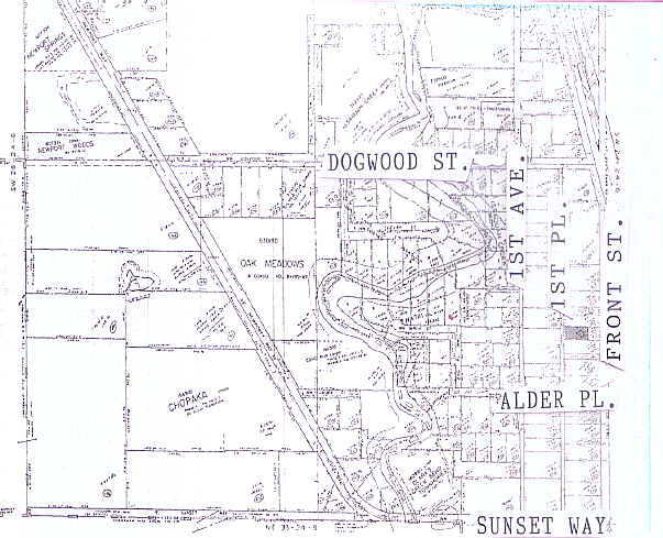 More Photos Of 158 1st Pl NW, Issaquah Storefront Retail Residential For Sale