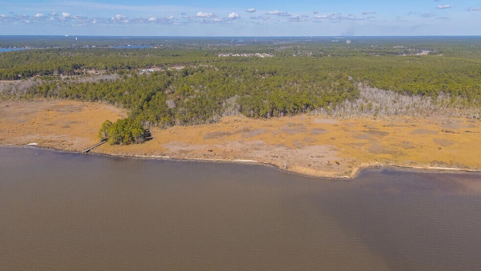More Photos Of Hwy 331 S & Jolly Bay Road, Freeport Land For Sale