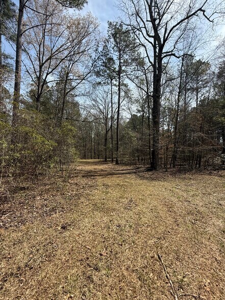 More Photos Of Sugar Creek Trail, Buckhead Morgan Land For Sale