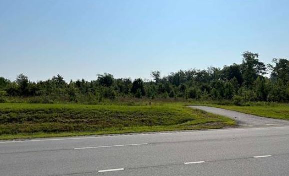 More Photos Of Hwy 87 & 87 Bypass, Cochran Land For Sale