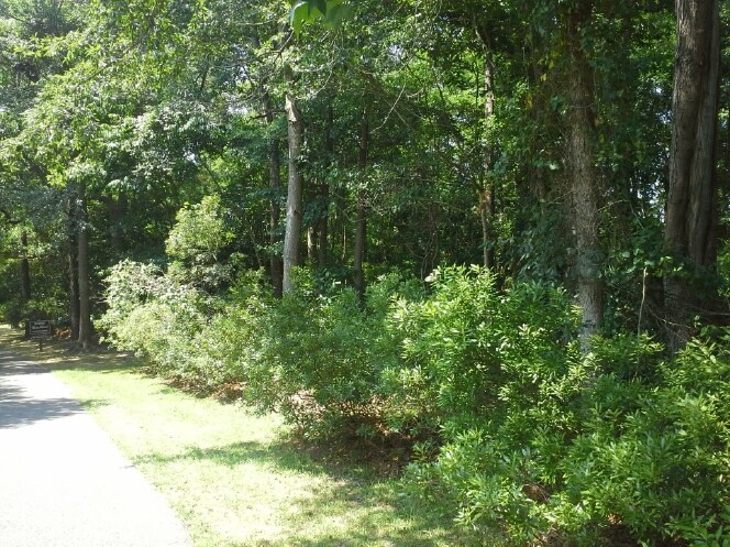 Primary Photo Of 10231 N Kings Hwy, Myrtle Beach Land For Sale