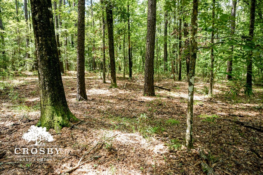 More Photos Of 3009 Lowcountry Drive, Ridgeland Land For Sale