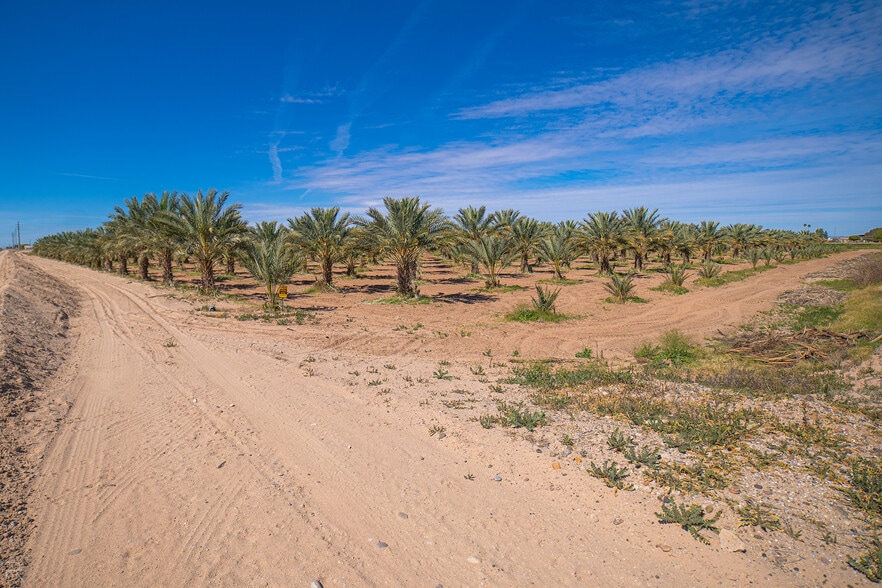 More Photos Of 17587 S Ave 3 1/2 E, Yuma Land For Sale