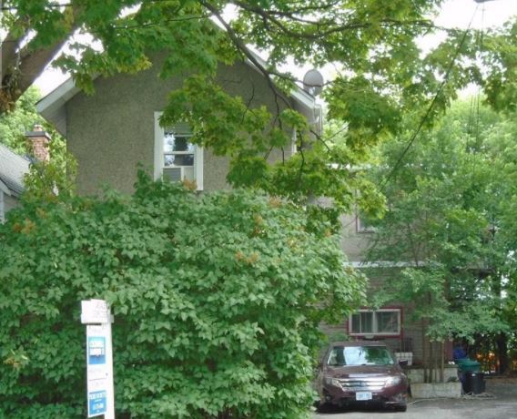 130 Pamilla St  