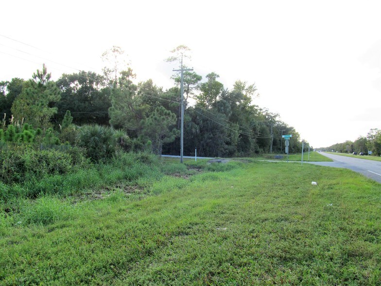 More Photos Of 24502 E Colonial Dr, Christmas Land For Sale
