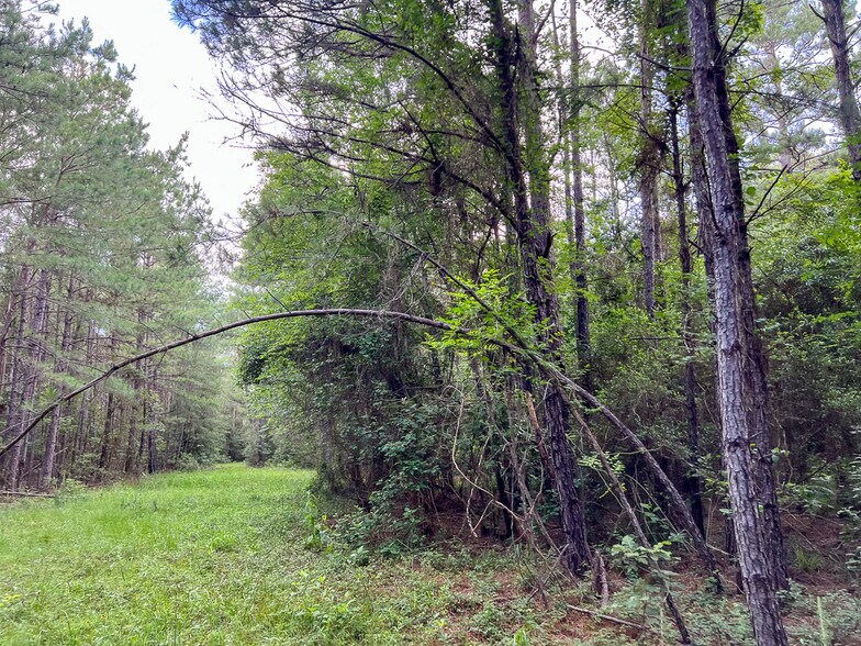 More Photos Of 00 FM 2793, New Waverly Land For Sale