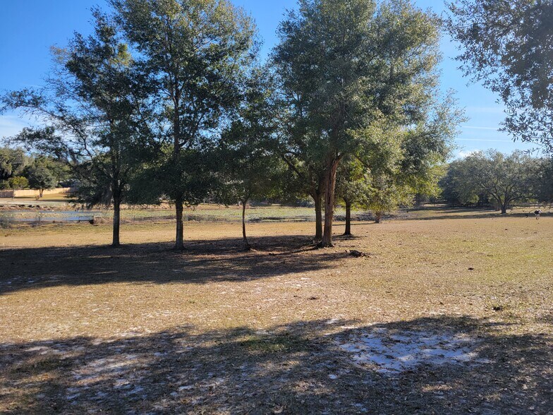 More Photos Of 3142 Plymouth Sorrento Rd, Apopka Land For Sale