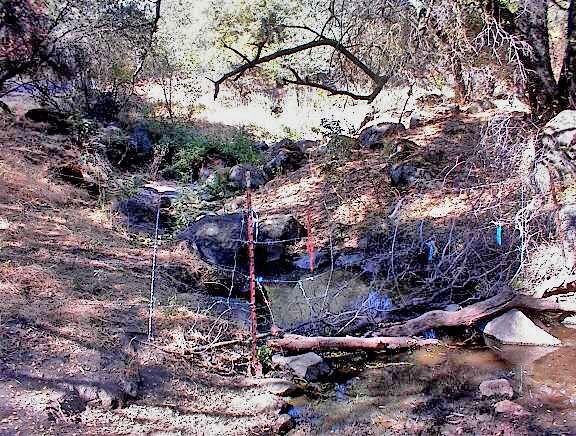 More Photos Of 38176 Cardinal, Yokuts Valley Land For Sale