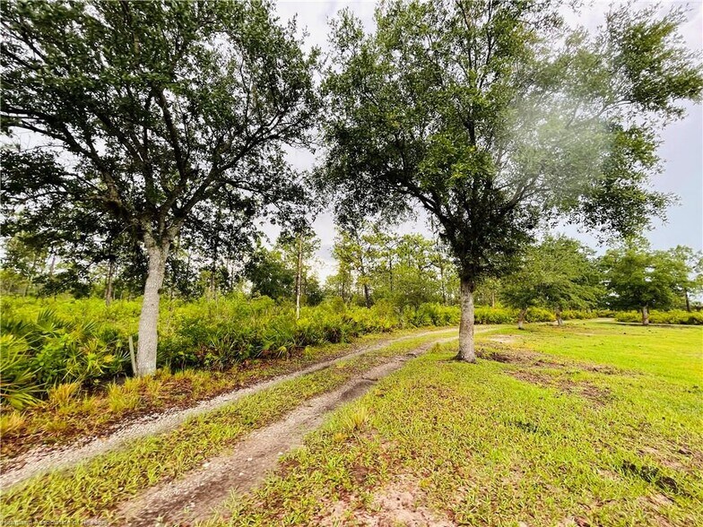 More Photos Of 17470 County Road 731, Venus Land For Sale