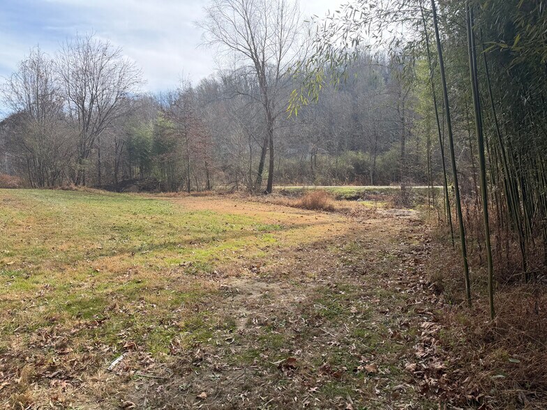 More Photos Of 3740 Brevard Rd, Horse Shoe Land For Sale