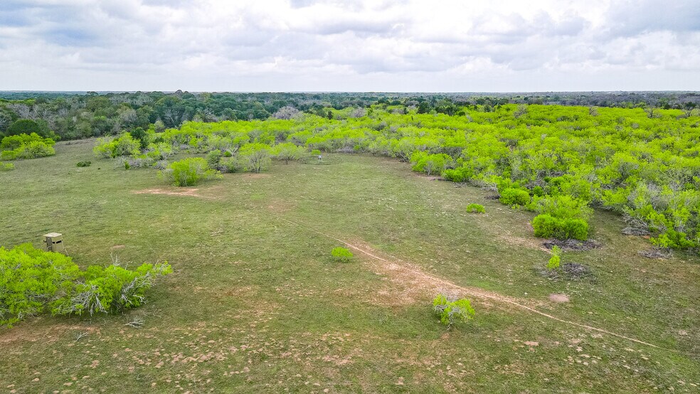 More Photos Of TBD Sparta Field Road, Waelder Land For Sale