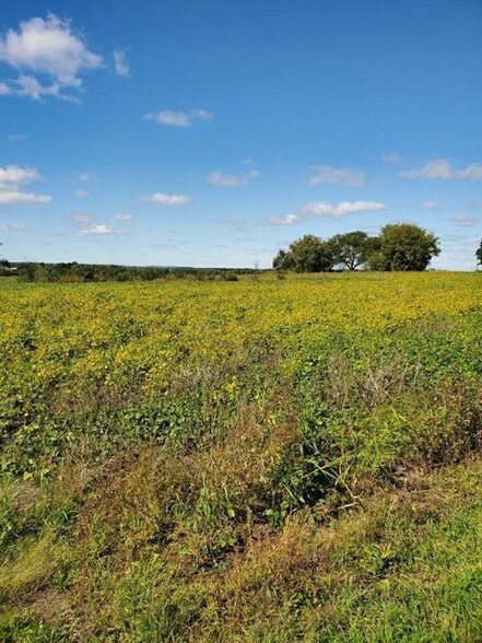 More Photos Of 18625 158th St, Basehor Land For Sale