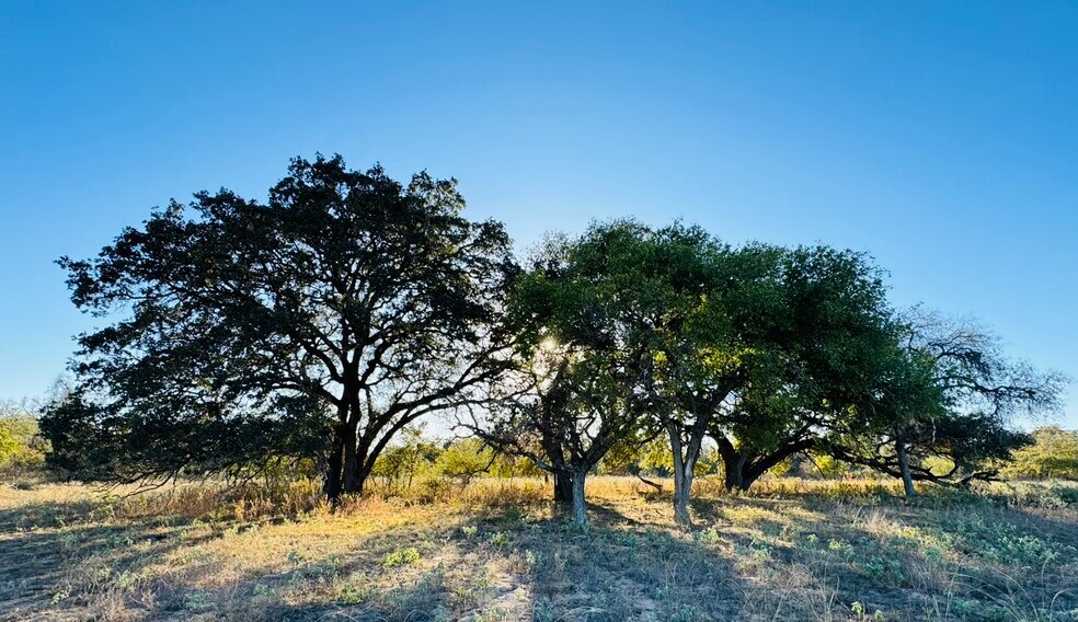 More Photos Of 10382 W FM 476, Poteet Land For Sale