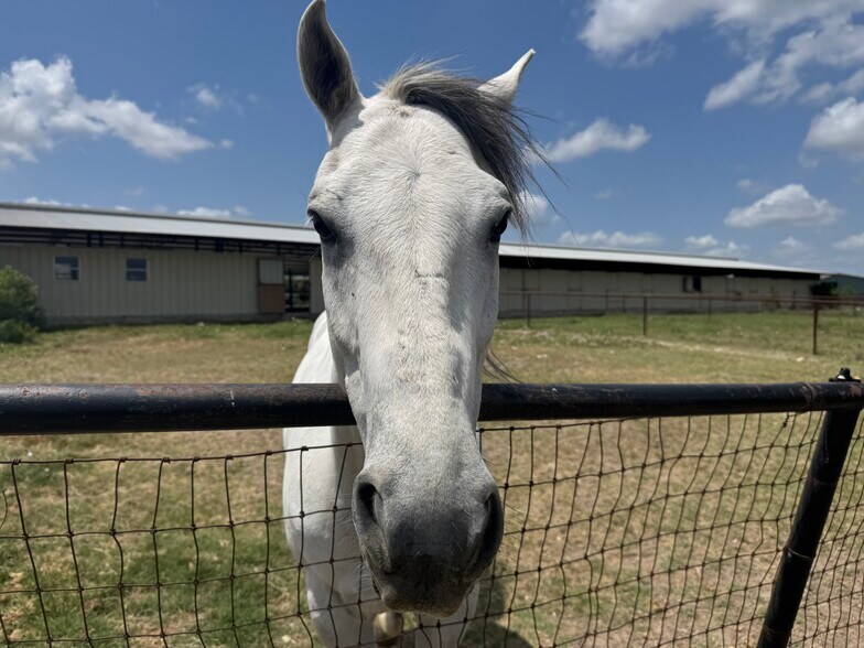 More Photos Of 20307 FM 973, Coupland Land For Sale