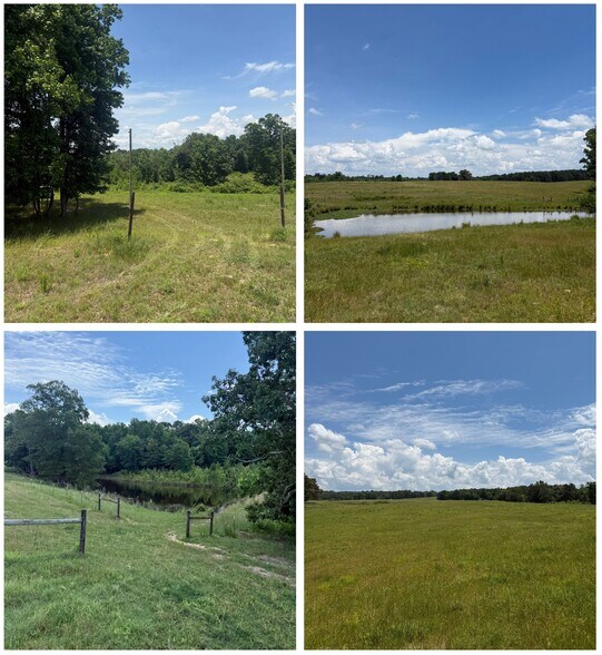 More Photos Of 1657 Hamm Rd, Blountsville Land For Sale