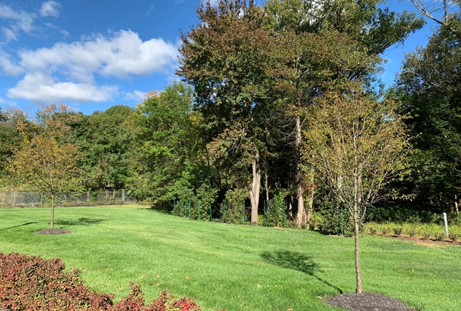 More Photos Of 2124 Oak Tree Rd, Edison Office For Sale