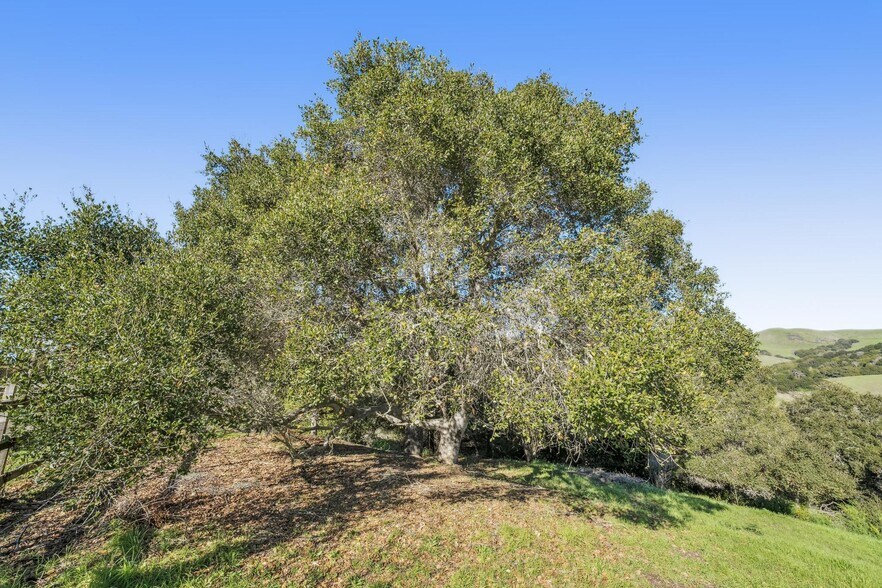 More Photos Of 0 Fairview Rd, Richmond Land For Sale