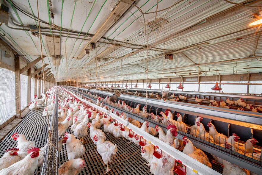 More Photos Of 1291 Myron Hart Rd, Coolidge Land For Sale