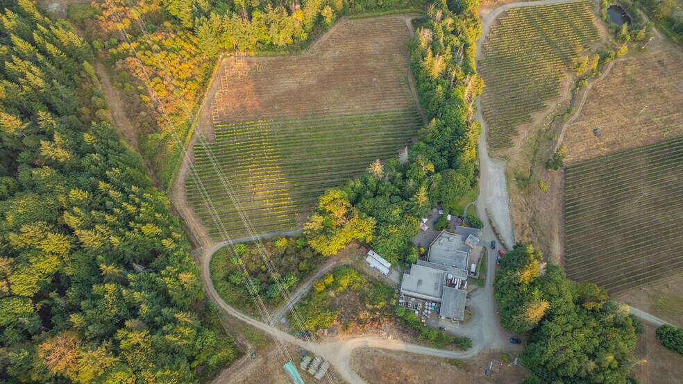 More Photos Of , Duncan Winery Vineyard For Sale