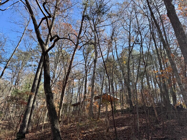 More Photos Of 536 Vayhaus Trl, Ellijay Specialty For Sale