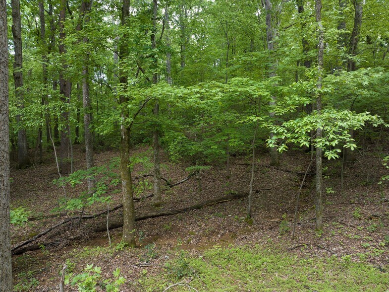 More Photos Of 899 W Mills Street, Columbus Land For Sale