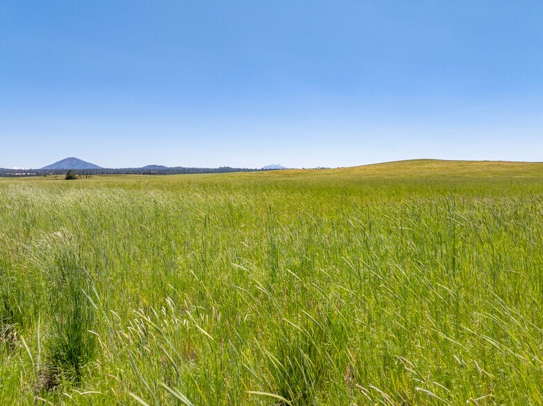 More Photos Of 540-775 Pittville Rd, Mcarthur Land For Sale