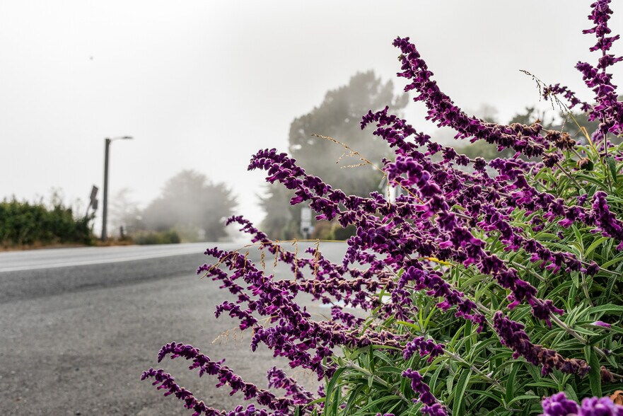 More Photos Of , Jenner Unknown For Sale