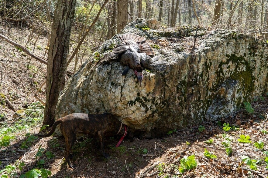 More Photos Of 0 Foothills Rd, Callaway Land For Sale