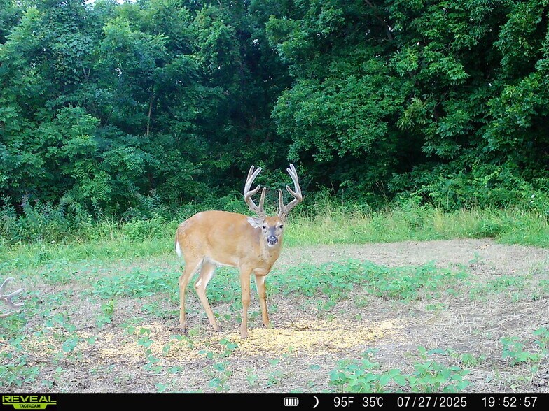 More Photos Of Highway D (77.2+/- Acres) Tract 1, Eolia Land For Sale