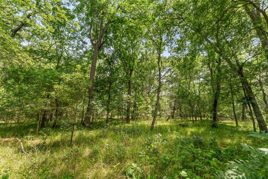 More Photos Of 10840 FM 442, Boling Land For Sale