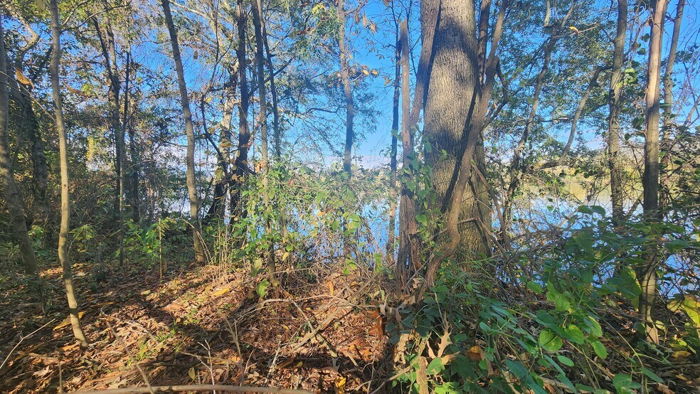 More Photos Of 199 Garner Rd, Bridgeport Land For Sale