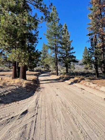 More Photos Of 415-025 Scott Rd, Doyle Land For Sale