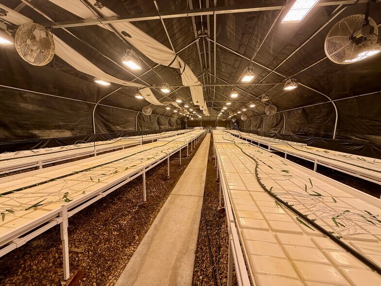 More Photos Of 1000 FM624, Orange Grove Industrial For Sale